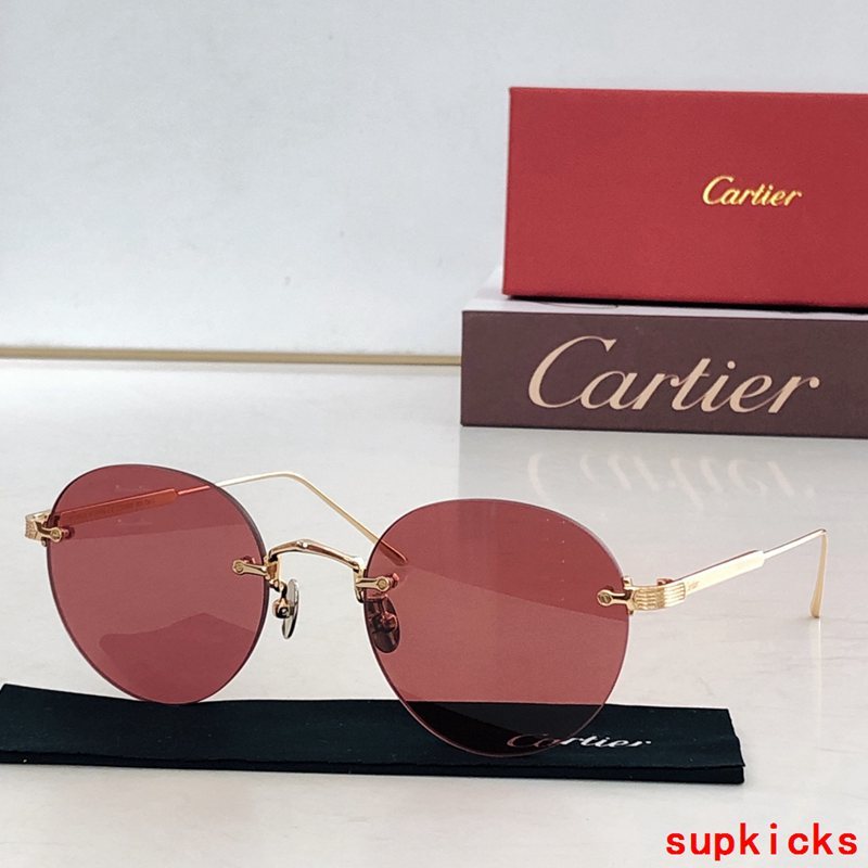 Close-up detail view of Cartier unisex sunglasses
