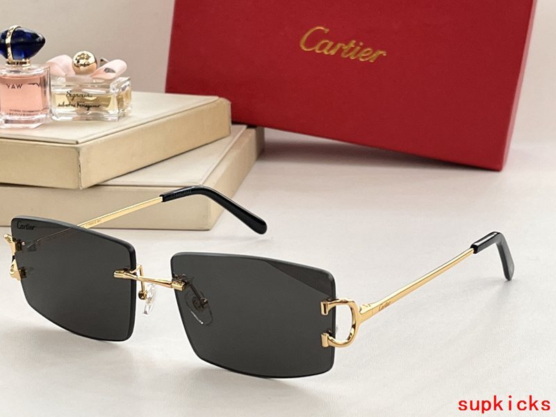 Front view of Cartier unisex sunglasses