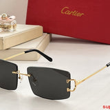 Front view of Cartier unisex sunglasses