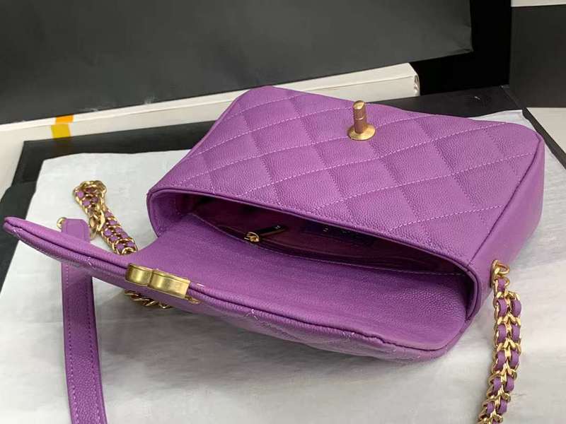Zivas Charm Sleek Silhouette Luxury Handbag (Signature Shape & Finish) – Back View