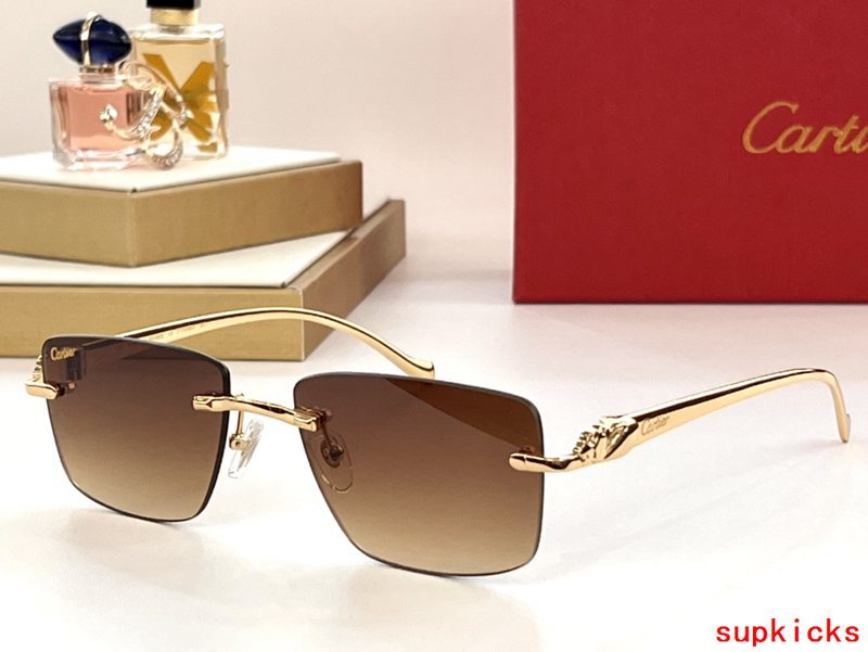 Lifestyle view of Cartier unisex sunglasses