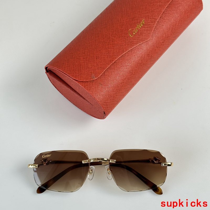 Lifestyle view of Cartier unisex sunglasses