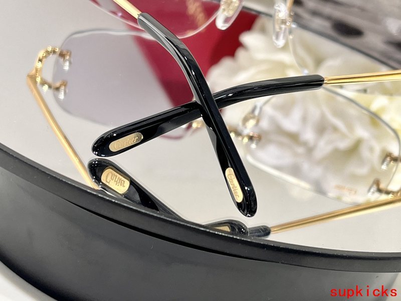Front view of Cartier unisex sunglasses