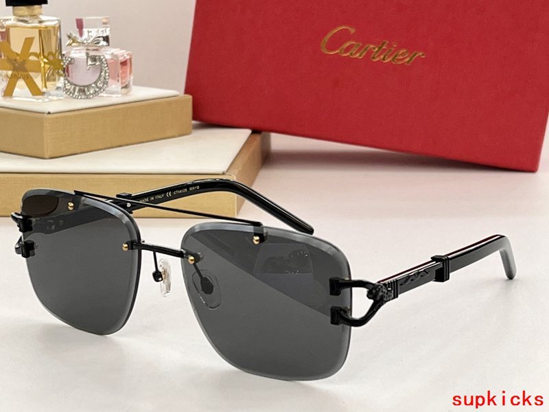 Front view of Cartier unisex sunglasses