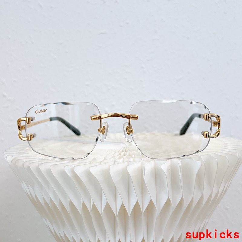 Close-up detail view of Cartier unisex sunglasses