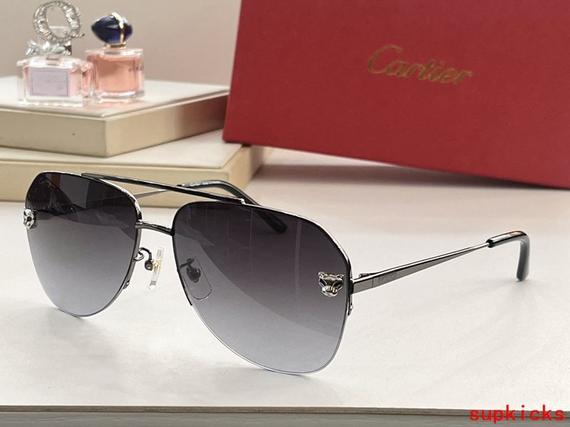 Close-up detail view of Cartier unisex sunglasses