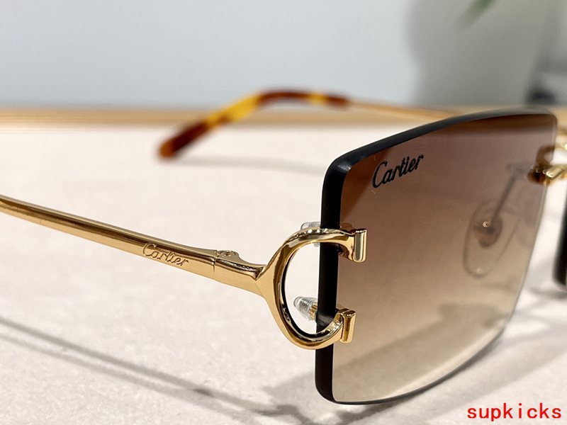 Side view of Cartier unisex sunglasses