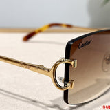 Side view of Cartier unisex sunglasses