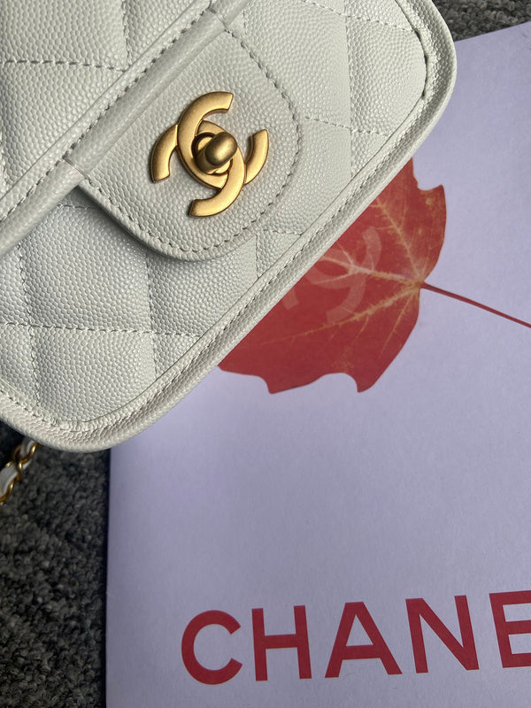 Zivas Charm Polished Finish Designer Handbag (Effortless Style Upgrade) – Angled View