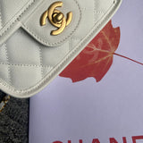 Zivas Charm Polished Finish Designer Handbag (Effortless Style Upgrade) – Angled View