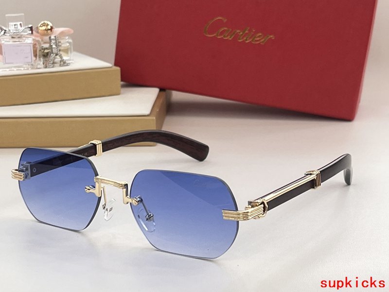 Side view of Cartier unisex sunglasses