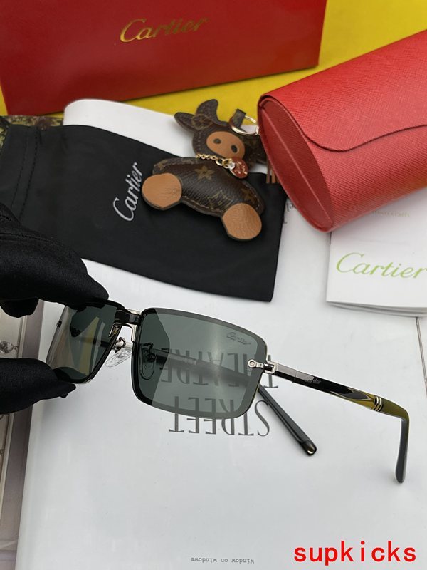 Front view of Cartier unisex sunglasses