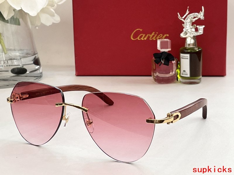 Angled view of Cartier unisex sunglasses