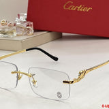 Side view of Cartier unisex sunglasses