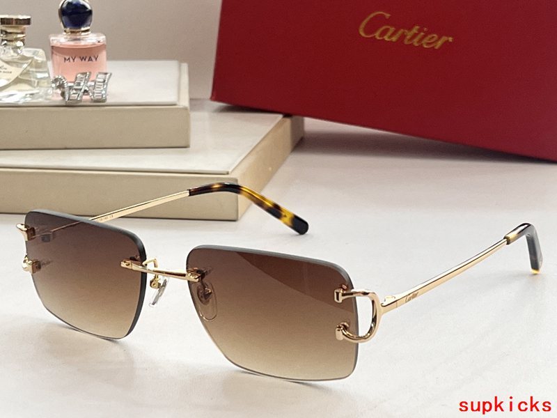 Close-up detail view of Cartier unisex sunglasses