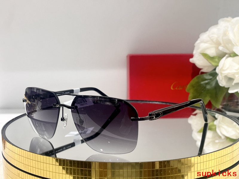 Close-up detail view of Cartier unisex sunglasses