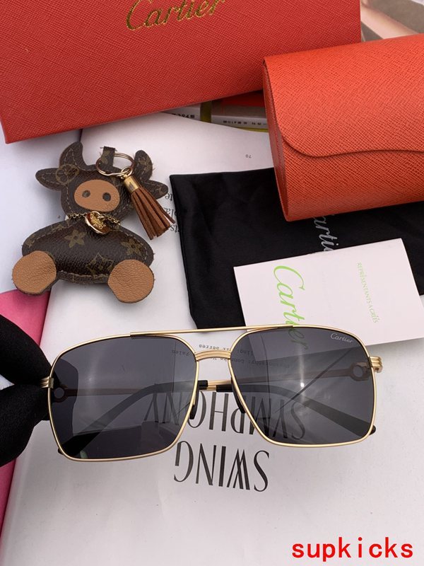 Lifestyle view of Cartier unisex sunglasses