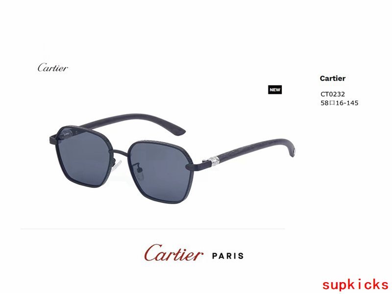 Close-up detail view of Cartier unisex sunglasses