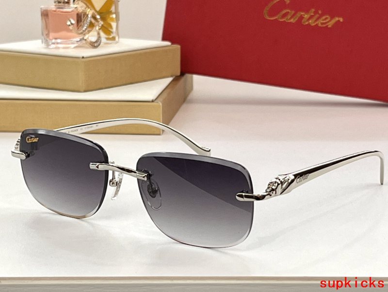 Side view of Cartier unisex sunglasses