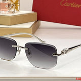 Side view of Cartier unisex sunglasses