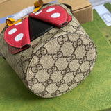 Interior view of everyday-luxe chic women's handbag – women's luxury handbag
