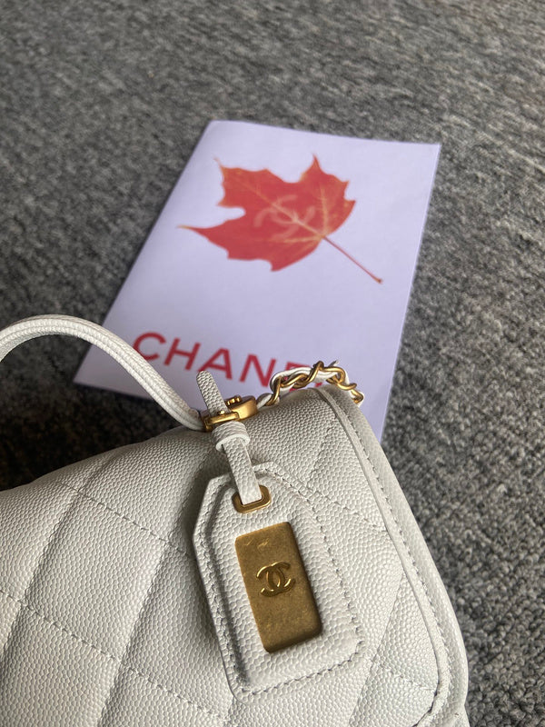 Zivas Charm Polished Finish Designer Handbag (Effortless Style Upgrade) – Close-Up Detail