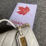 Zivas Charm Polished Finish Designer Handbag (Effortless Style Upgrade) – Close-Up Detail