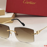 Side view of Cartier unisex sunglasses