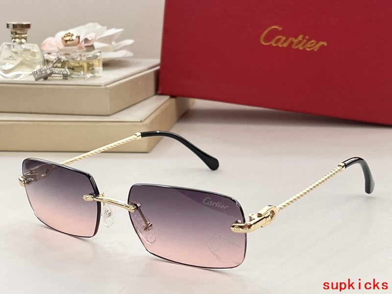 Close-up detail view of Cartier unisex sunglasses