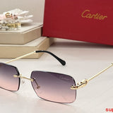 Close-up detail view of Cartier unisex sunglasses