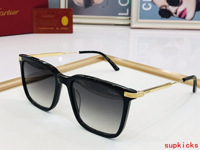 Side view of Cartier unisex sunglasses
