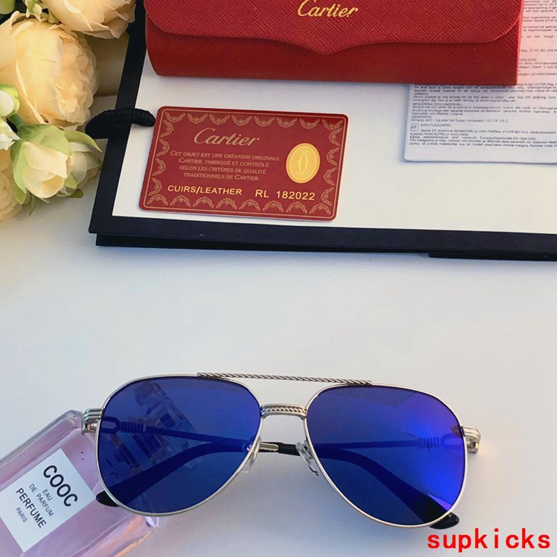 Side view of Cartier unisex sunglasses