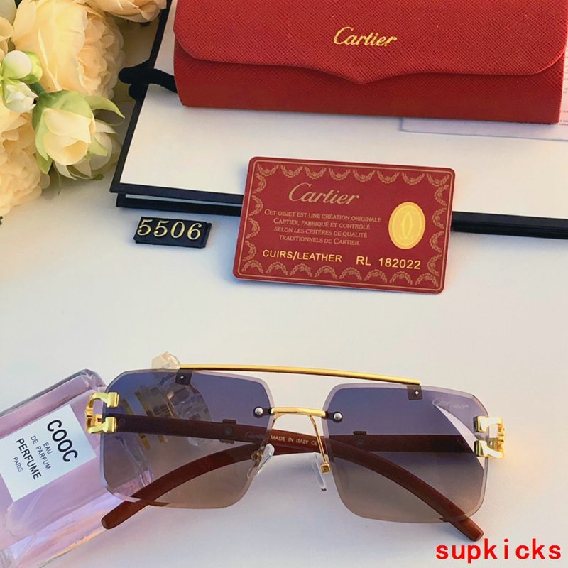 Side view of Cartier unisex sunglasses