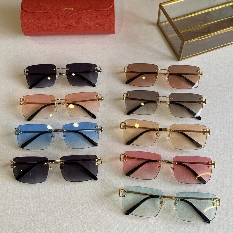 Front view of Cartier unisex sunglasses