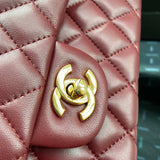Zivas Charm Polished Finish Designer Handbag (Polished Everyday Piece) – Detail View