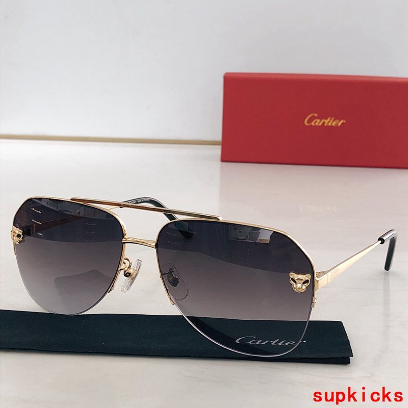 Front view of Cartier unisex sunglasses