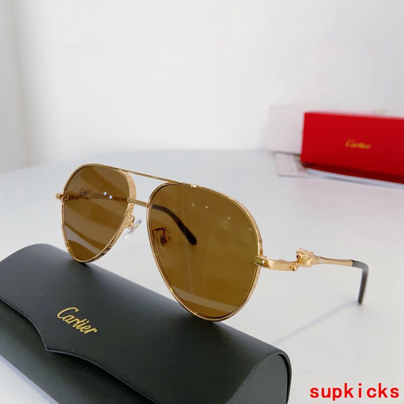 Angled view of Cartier unisex sunglasses