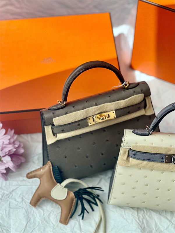  tote bag interior and compartment view 9