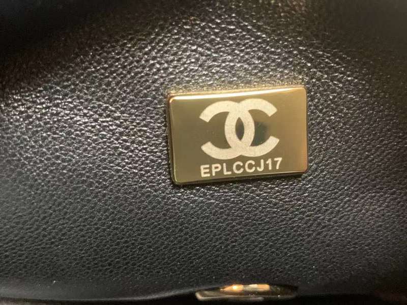 Zivas Charm Timeless Appeal Luxury Handbag (Signature Shape & Finish) – Interior View