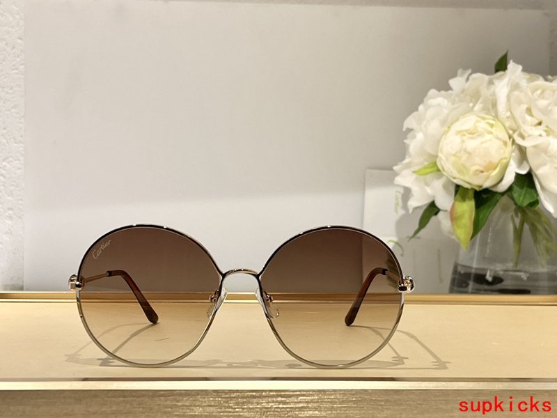 Close-up detail view of Cartier unisex sunglasses