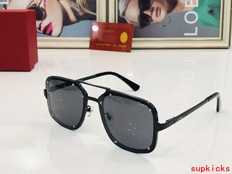 Close-up detail view of Cartier unisex sunglasses
