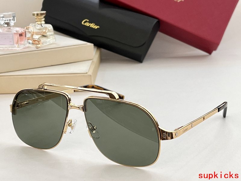 Close-up detail view of Cartier unisex sunglasses