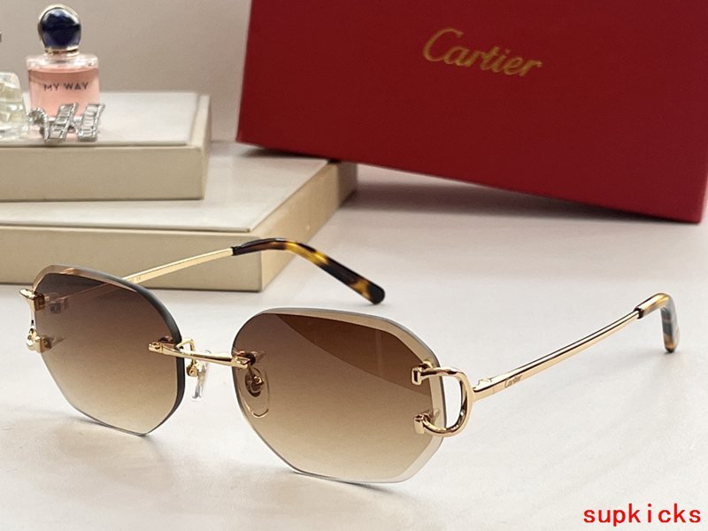 Full view of Cartier unisex sunglasses