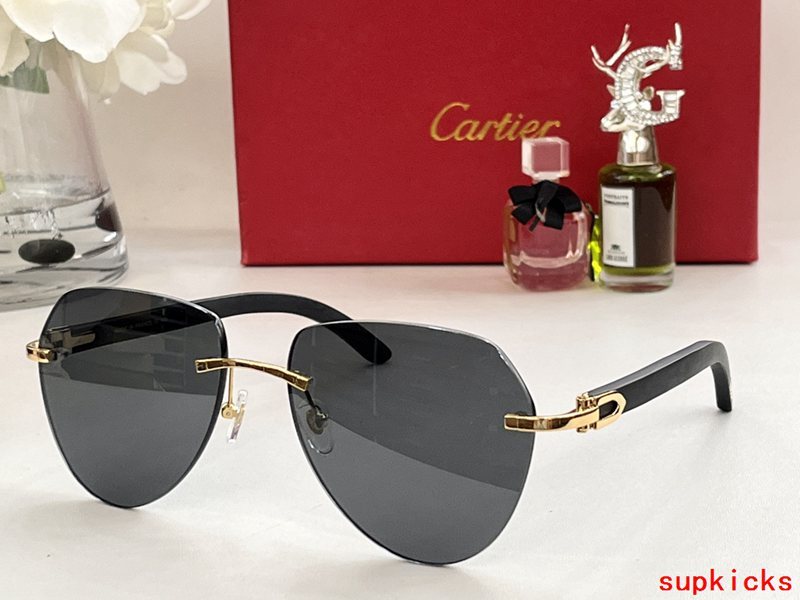 Full view of Cartier unisex sunglasses