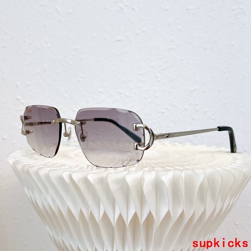 Close-up detail view of Cartier unisex sunglasses