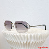 Close-up detail view of Cartier unisex sunglasses