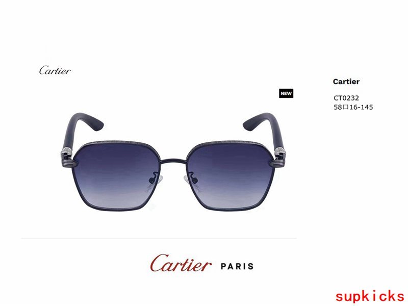 Side view of Cartier unisex sunglasses