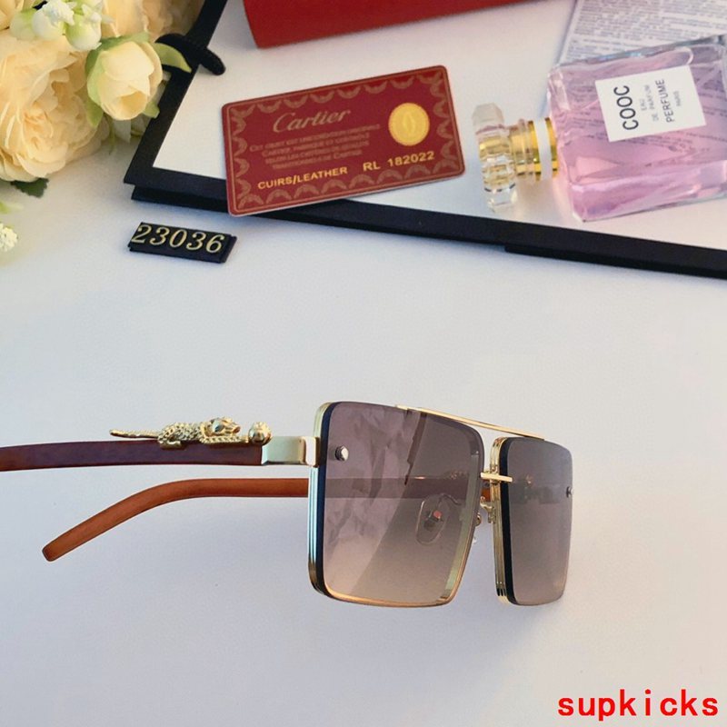 Close-up detail view of Cartier unisex sunglasses