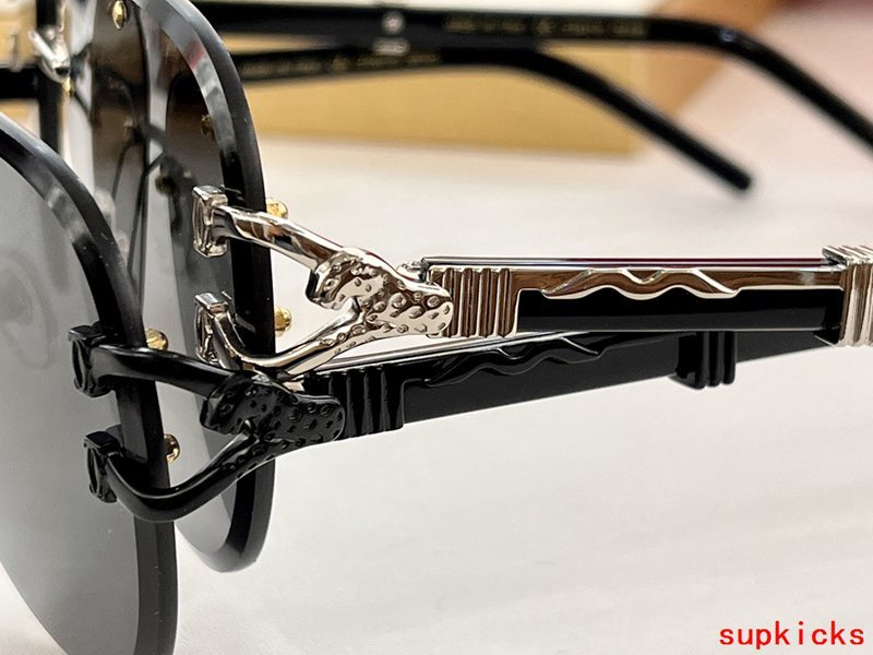 Side view of Cartier unisex sunglasses