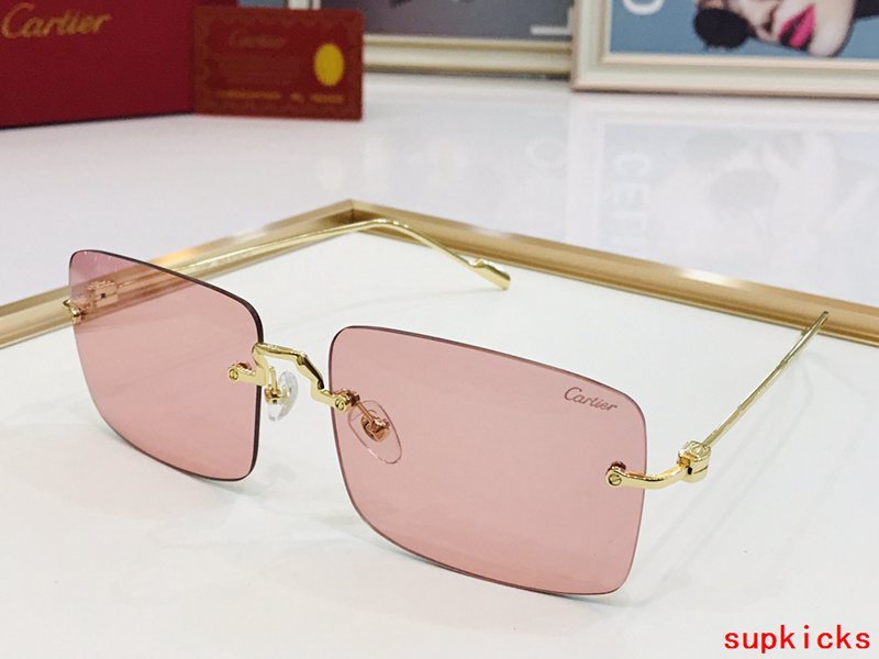 Side view of Cartier unisex sunglasses